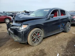 Alfa Romeo Stelvio 2.0L 4 2020