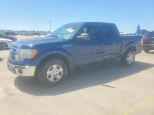 Ford F-150 4.6L 8 2010