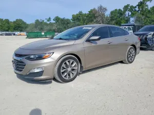 Chevrolet Malibu 1.5L 4 2024