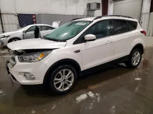 Ford Escape 1.5L 4 2019