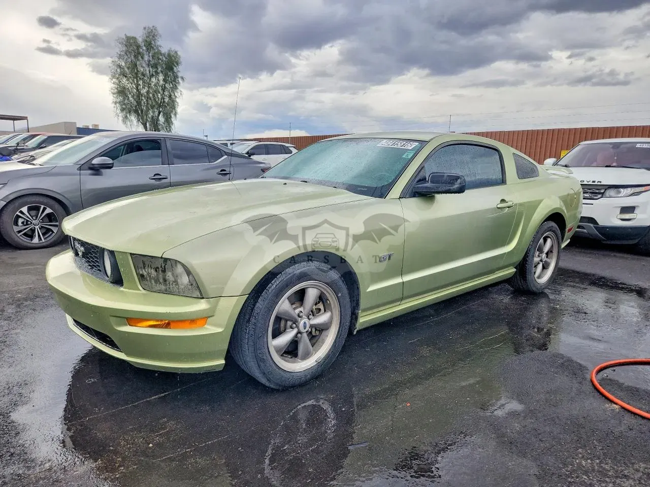 Ford Mustang 4.6L 8 2005