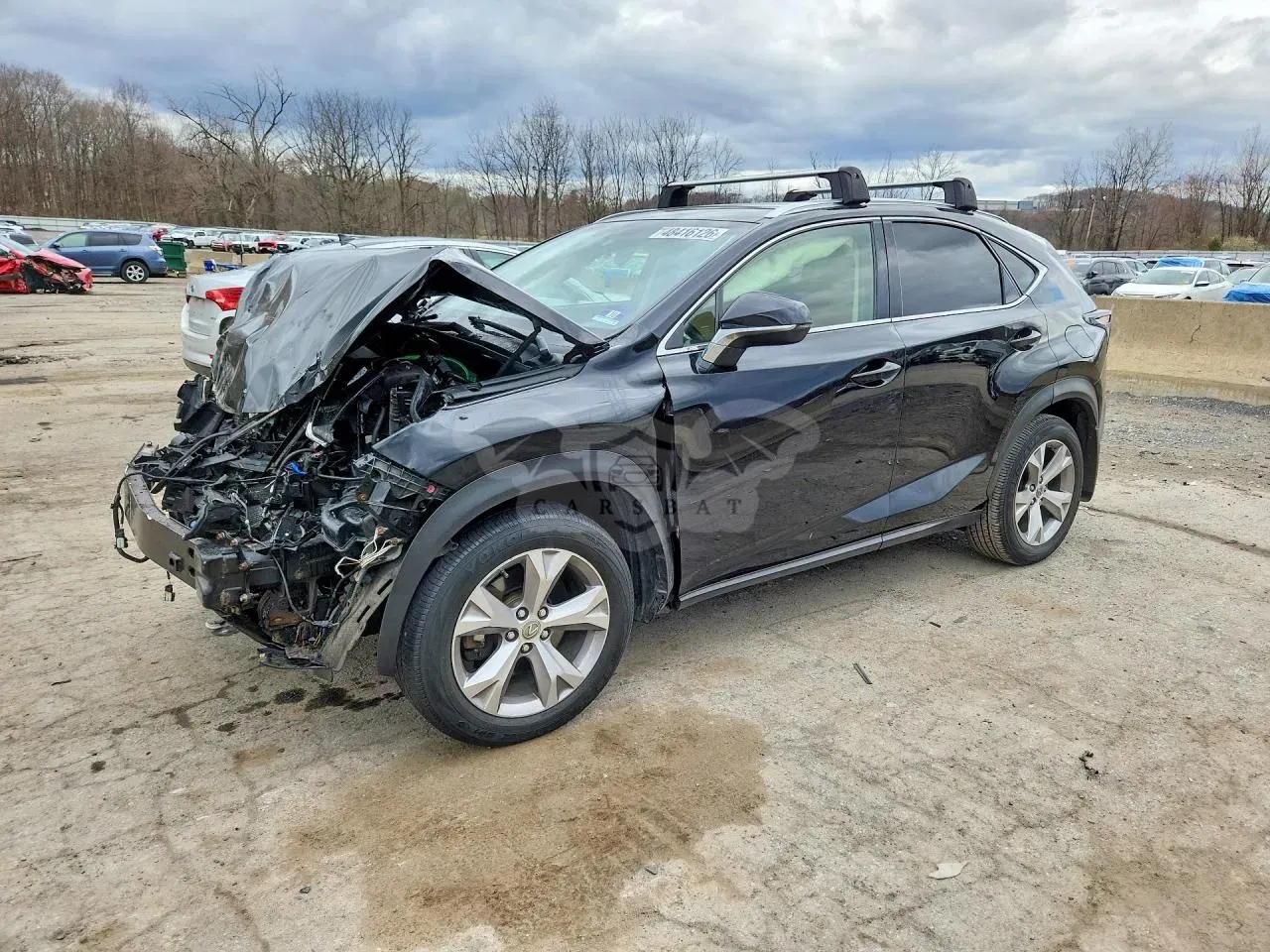 Lexus NX 2.0L 4 2017