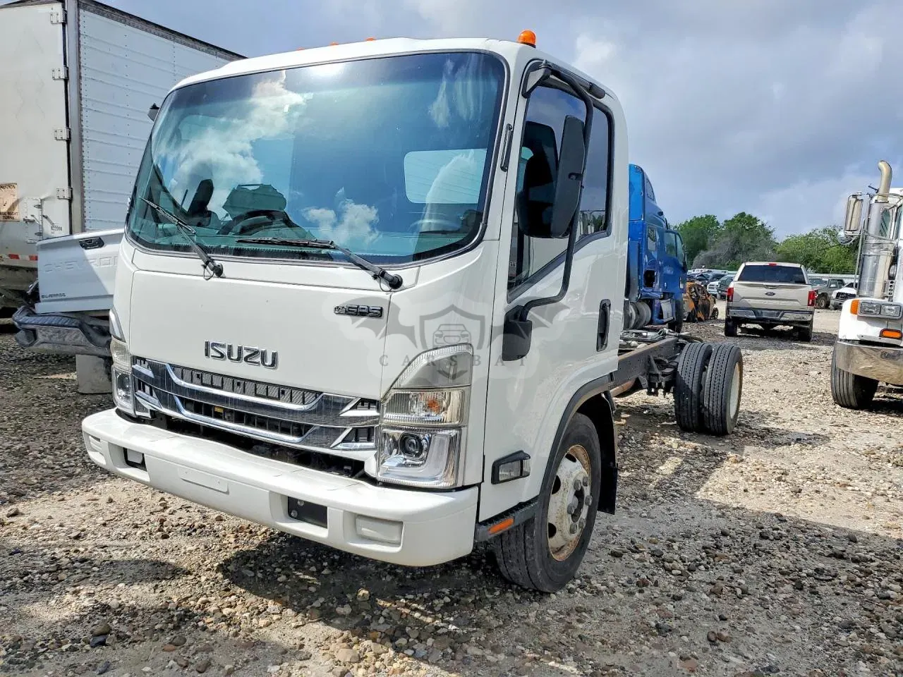 Isuzu NPR 6.6L 8 2023