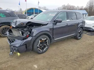 Kia Telluride 3.8L 6 2025