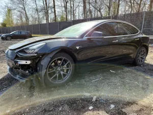 Tesla Model 3 2019