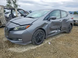 Nissan Leaf 0.0L 0 2024