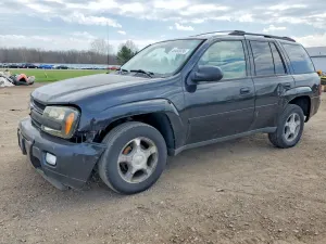 Chevrolet Trailblazer 4.2L 6 2008