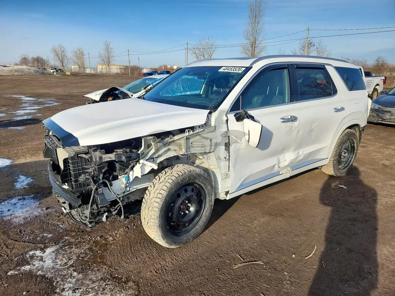 Hyundai Palisade 3.8L 6 2021