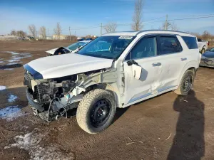 Hyundai Palisade 3.8L 6 2021