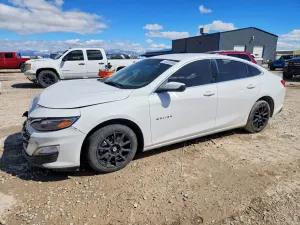 Chevrolet Malibu 1.5L 4 2020