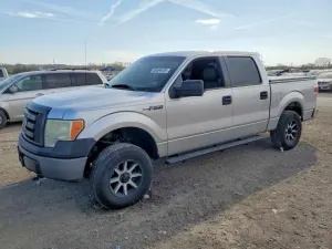 Ford F-150 4.6L 8 2010