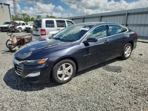 Chevrolet Malibu 1.5L 4 2023