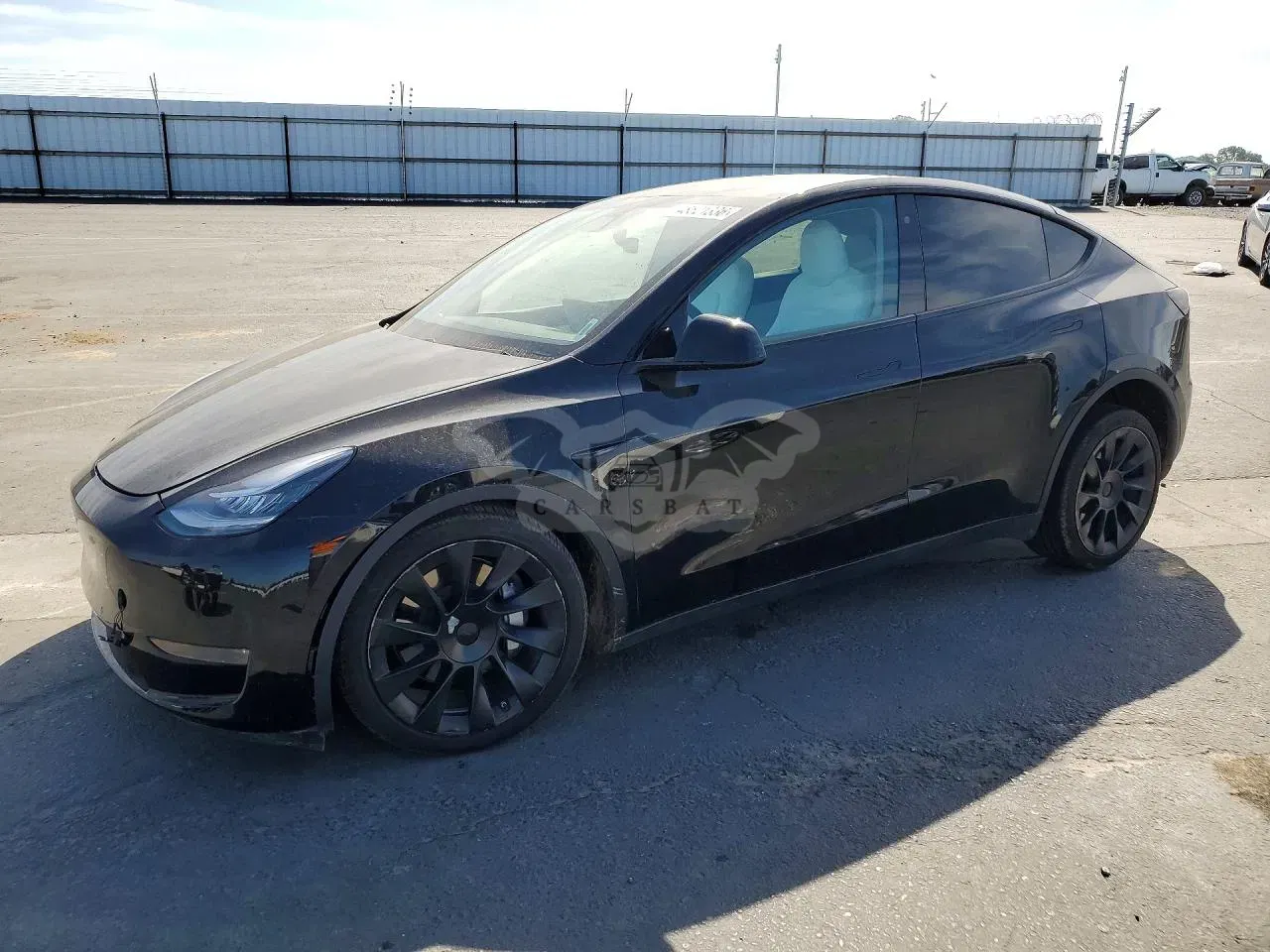 Tesla Model Y 2020