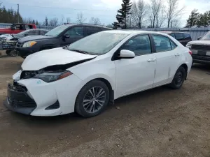 Toyota Corolla 1.8L 4 2019