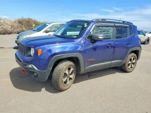 Jeep Renegade 1.3L 4 2019