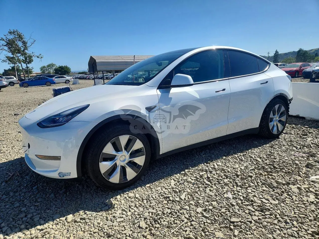 Tesla Model Y 2021