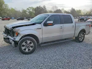 Ford F-150 4.6L 8 2010