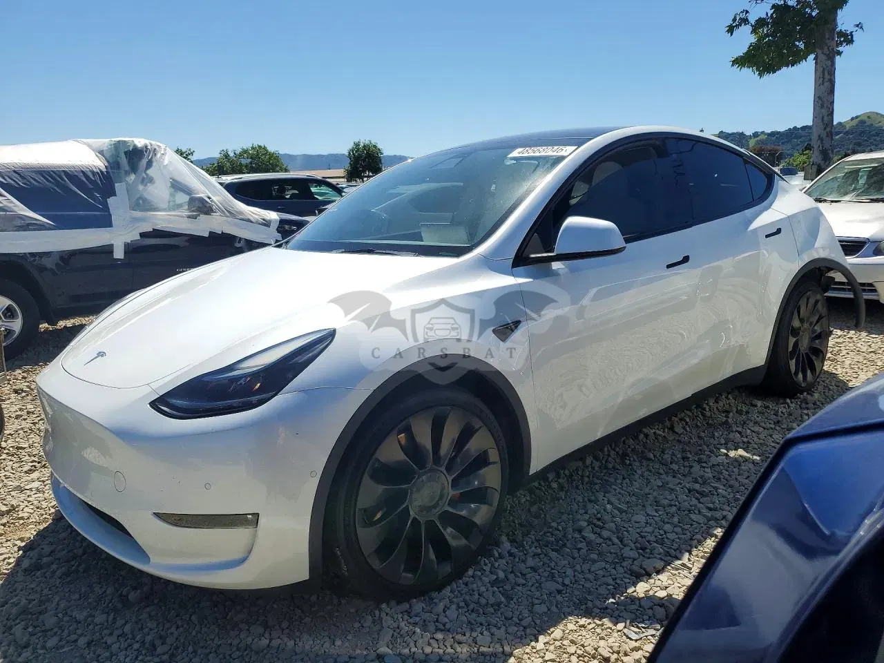 Tesla Model Y 2022