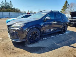 Lexus NX 2.4L 4 2022