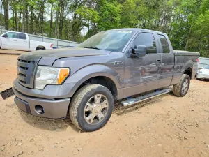 Ford F-150 4.6L 8 2010
