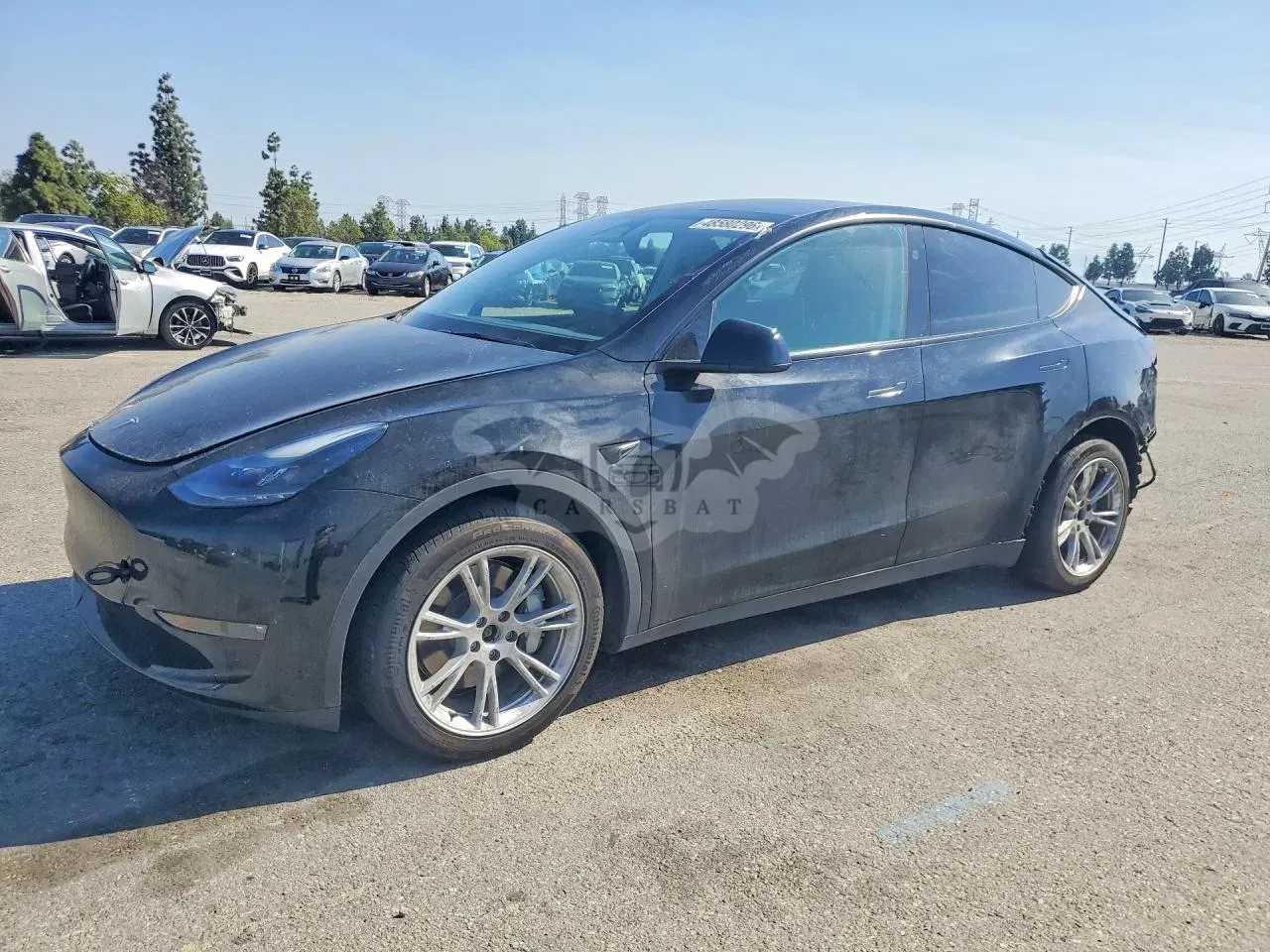 Tesla Model Y 2024