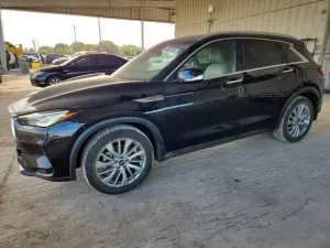 Infiniti QX50 2.0L 4 2024