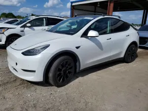 Tesla Model Y 2020