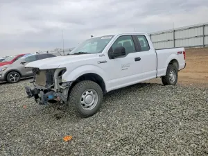 Ford F-150 5.0L 8 2020