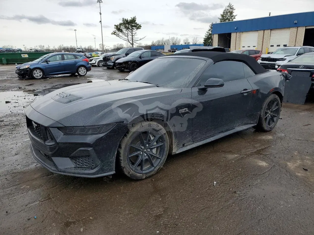 Ford Mustang 5.0L 8 2025