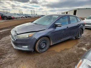 Ford Focus 2.0L 4 2015