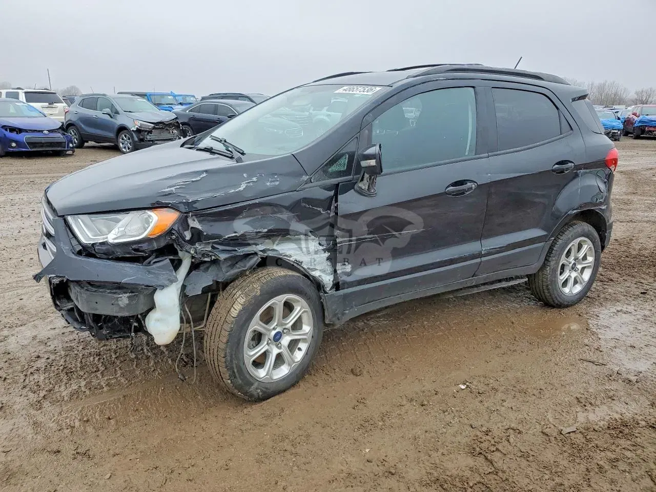 Ford Ecosport 2.0L 4 2020