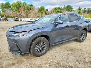 Lexus NX 2.4L 4 2025