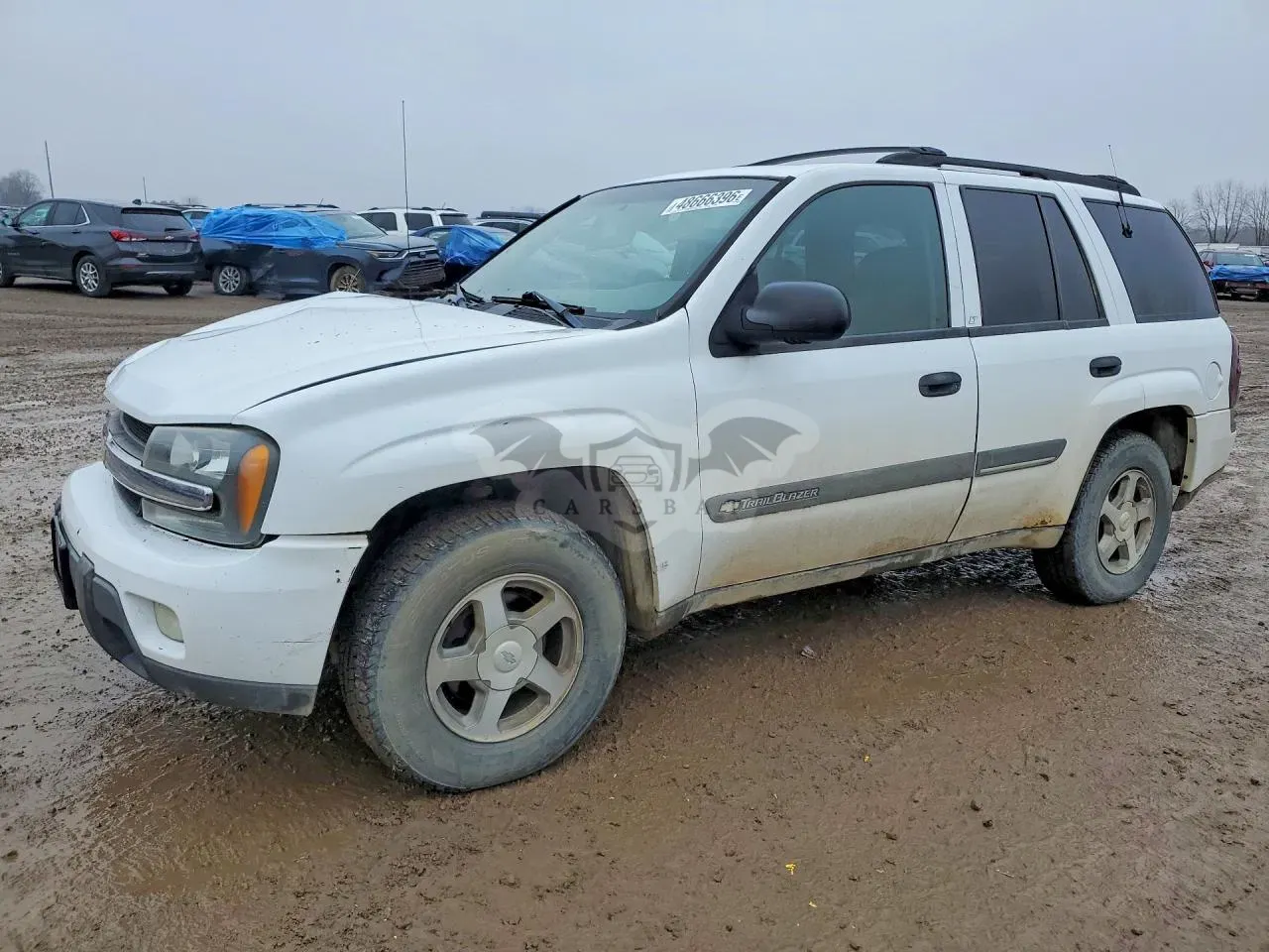 Chevrolet Trailblazer 4.2L 6 2002