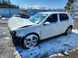 Volkswagen Golf 2.0L 4 2009