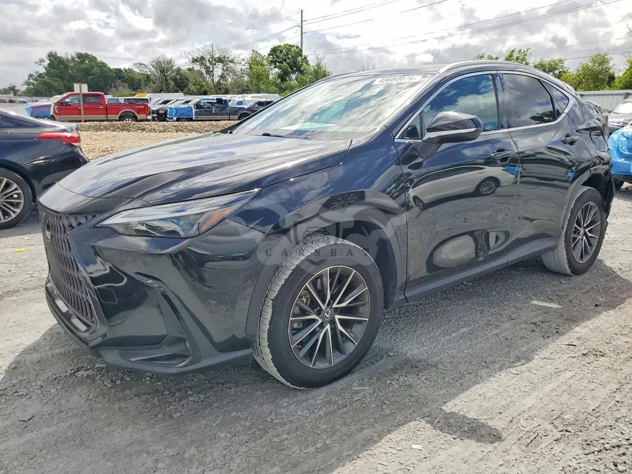 Lexus NX 2.4L 4 2023
