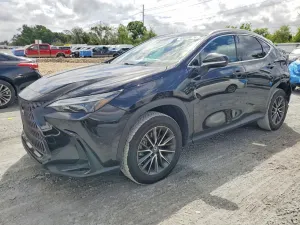 Lexus NX 2.4L 4 2023
