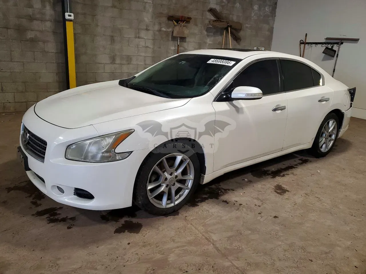 Nissan Maxima 3.5L 6 2011