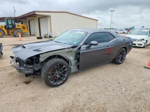 Dodge Challenger 6.4L 8 2021