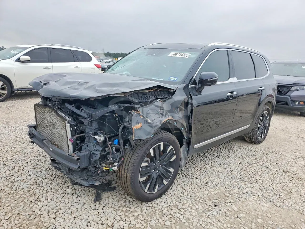 Kia Telluride 3.8L 6 2023