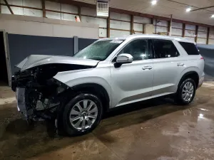 Hyundai Palisade 3.8L 6 2024