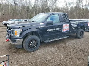 Ford F-150 5.0L 8 2019