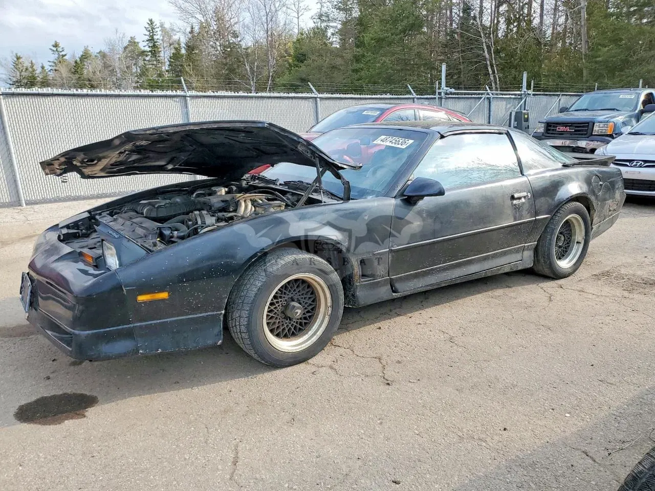 Pontiac Firebird 5.0L 8 1988