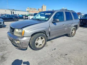 Chevrolet Trailblazer 4.2L 6 2008
