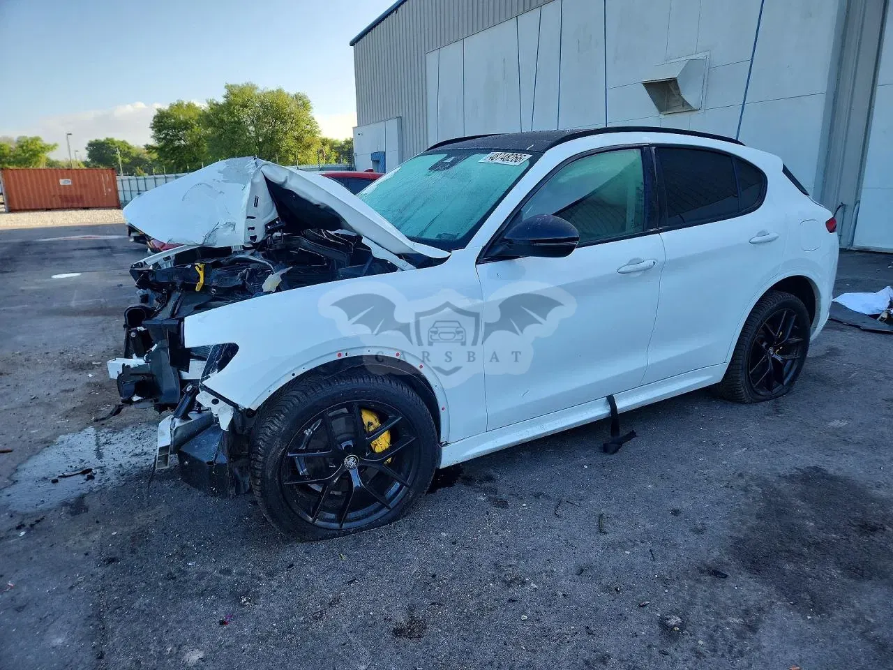 Alfa Romeo Stelvio 2.0L 4 2021
