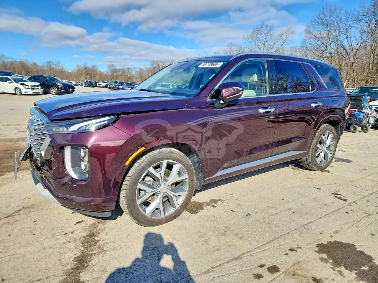 Hyundai Palisade 3.8L 6 2021