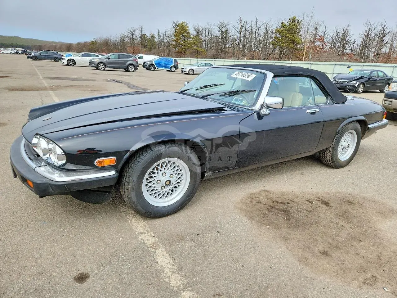 Jaguar XJ 5.3L 12 1989