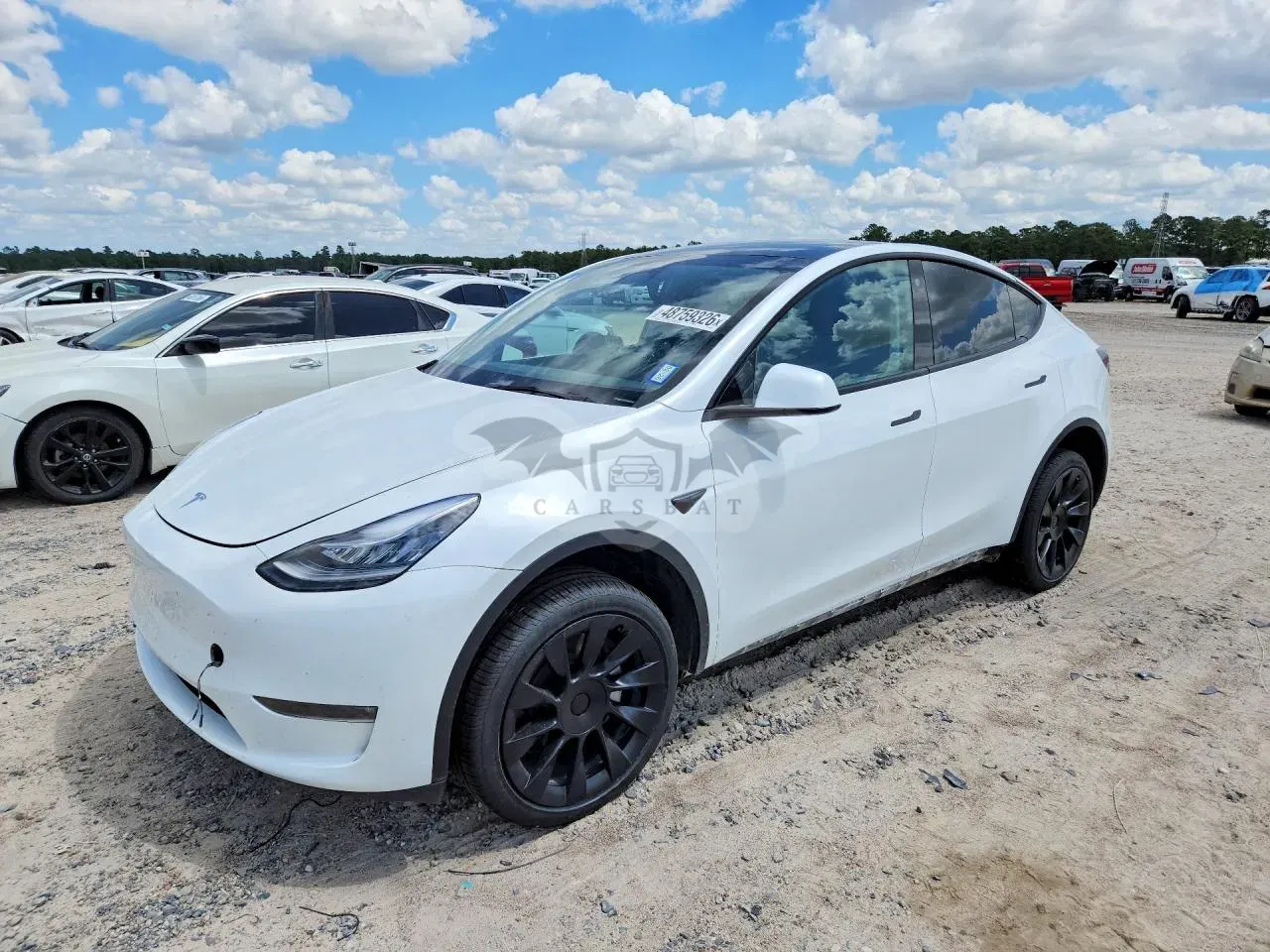 Tesla Model Y 2023