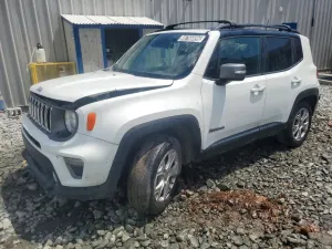 Jeep Renegade 1.3L 4 2019