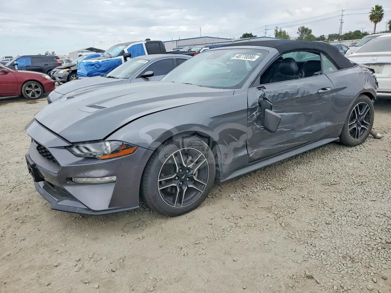 Ford Mustang 2.3L 4 2022