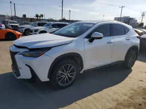 Lexus NX 2.5L 4 2024